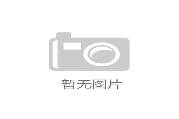 世界耐力锦标赛汽车队发生事故幸无大碍
